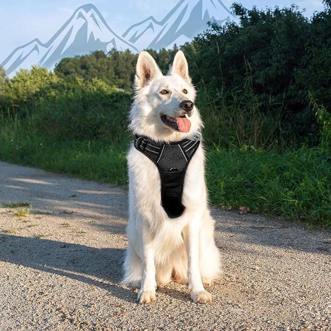 Eagloo Dog Harness for Large Dogs, No Pull Pet Vest with 2 Leash Clips | No Choke with Handle, Adjustable Comfort Fit, Reflective Strips, Easy Walking Control, Black, X-Large - Image 8