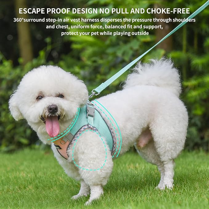 Small Dog Harness and Leash Set with Magic Tape, Turquoise-Pink XS | No Pull Step-in Vest for Puppy, Breathable Mesh, Reflective & Escape-Proof Design, Outdoor Use for Chihuahua, Maltese - Image 9