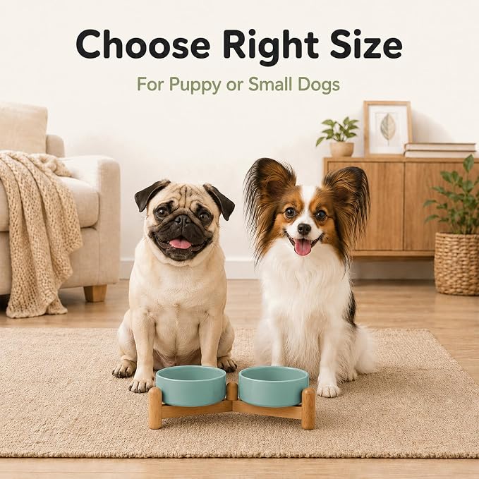 Havniva Ceramic Dog Bowls Elevated, Raised Dog Food Bowl for Puppies | 5.1” Elevated Dog Bowls, Non-Slip Wood Stand, Dog Food and Water Bowl Set, Dog Feeding Dish, Large Capacity Pet Water Bowl - Image 8