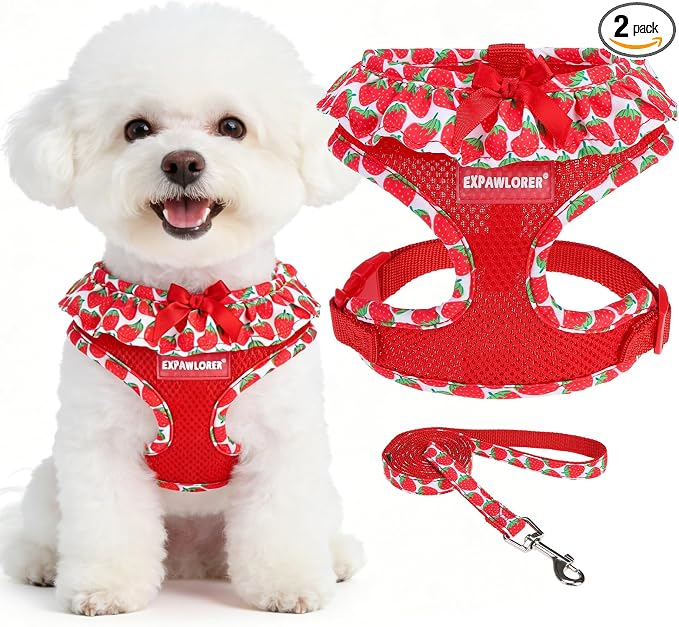 EXPAWLORER Step-in Dog Harness Small Sized and Leash Set | Cute Small Dog Harness No Pull Girl, Breathable Soft Mesh Padded, Adjustable Light Puppy Vest for Dogs Cats, Strawberry M by EXPAWLORER