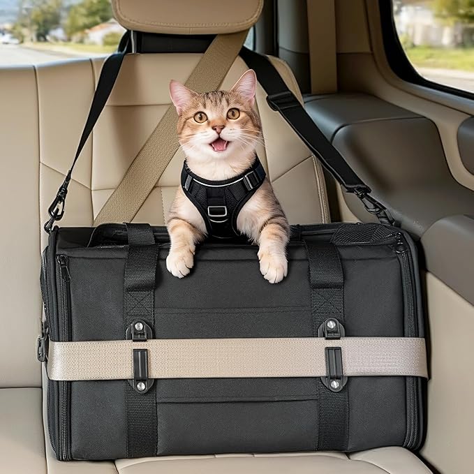 PETSFIT Large Cat Carrier with Patented Safety Buckles,Big Cats Up to 20 lb | Secure Carrier for Safe Driving, Lockable Zippers, Safety Tether, Travel Pet Carrier for Trips & Vet Visits,19 x 12 x 12 by Petsfit