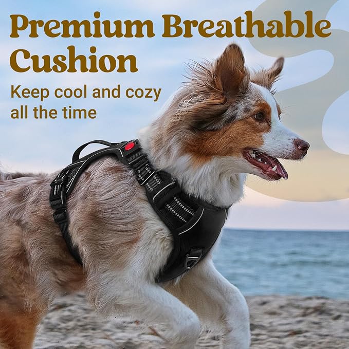 rabbitgoo Large Dog Harness, Easy Wear with 3 Buckles and Lift Handle | No Pull with Front Clip for Walking, Adjustable Soft Padded, Reflective, Easy Control, Black, Medium - Image 7