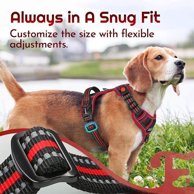Eagloo Dog Harness No Pull for Small Dogs, Easy On & Off with 3 Buckles | No Choke with Front Clip, Adjustable Fit, MOLLE System, Reflective Vest, Easy Control for Walking, Black & Red, Small - Image 7
