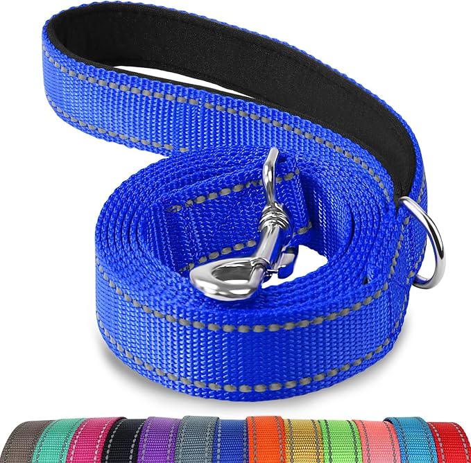 Joytale Reflective Dog Leash for Medium & Large Dogs, 4 FT x 1", Navy Blue | Heavy Duty Nylon Webbing, Padded Handle for Comfort, Visible at Night, for Walking & Training by Joytale