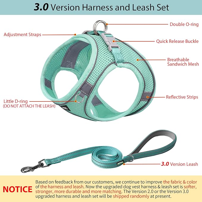 AIITLE Dog Harness and Leash Set, Step-in Puppy Vest, Pure Turquoise XXXS | Light, Soft, Breathable Air Mesh, Escape-Proof, Easy on and Remove with Hook & Loop, Secure Reflective for Walking - Image 2