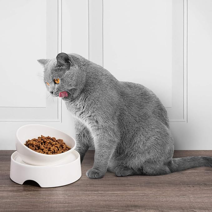 CatGuru Food Table for Cat Bowls, Elevated Feeding Station for Cat Food Bowl, Raised Stand for Pet Food and Water Bowls, Pet Feeder for Indoor Cats, Stress Free Stand for Pet Dishes (Marshnallow) - Image 6