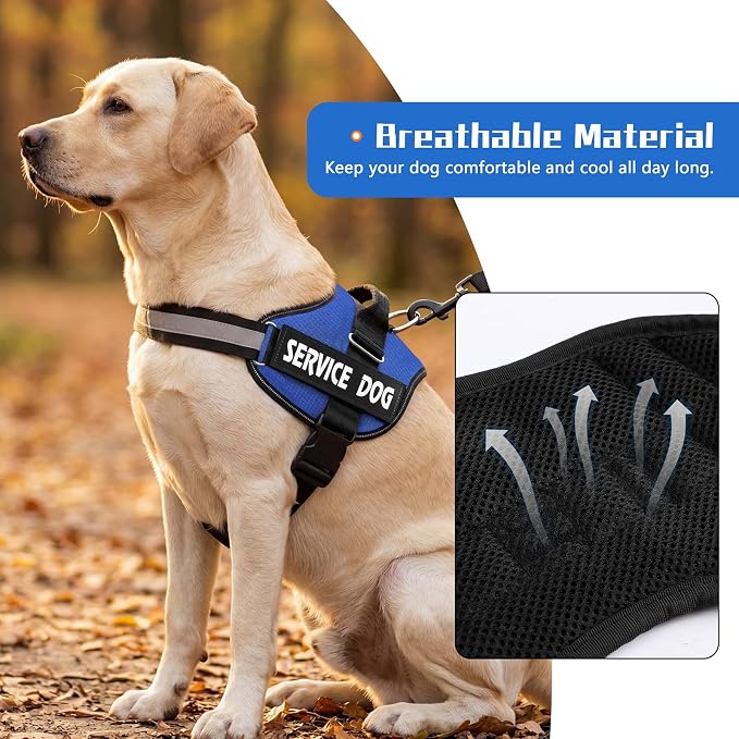 MUMUPET Service Dog Harness, No Pull & Reflective Pet Vest, Blue, S | Easy Control Handle, Soft & Breathable Padding, Adjustable Fit for Small to Large Dogs, 2 Removable Patches - Image 3