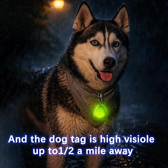QUELIEN LED Dog Collar Light, Clip-On Dog Safety Light for Night Walking, High Visibility Light Up Dog Collar Accessory for Summer Camping & Hiking, Lightweight for All Pets, Blue - Image 7