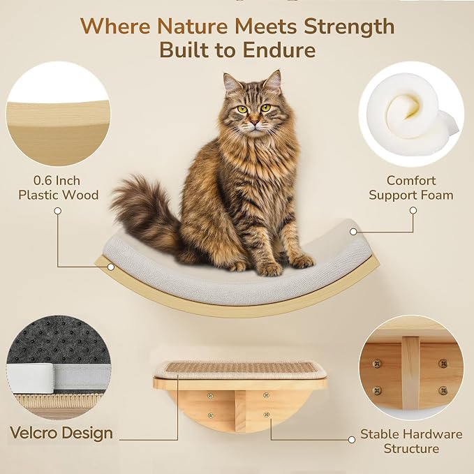 Cat Window Perches, Cat Wall Shelves with Curved Bed and 2 Sisal Mat Steps | Cat Wall Furniture with Curved Beige Bed & 2 Floating Steps for All Breeds, 3-in-1 Cat Wall Set for Climbing & Lounging - Image 2
