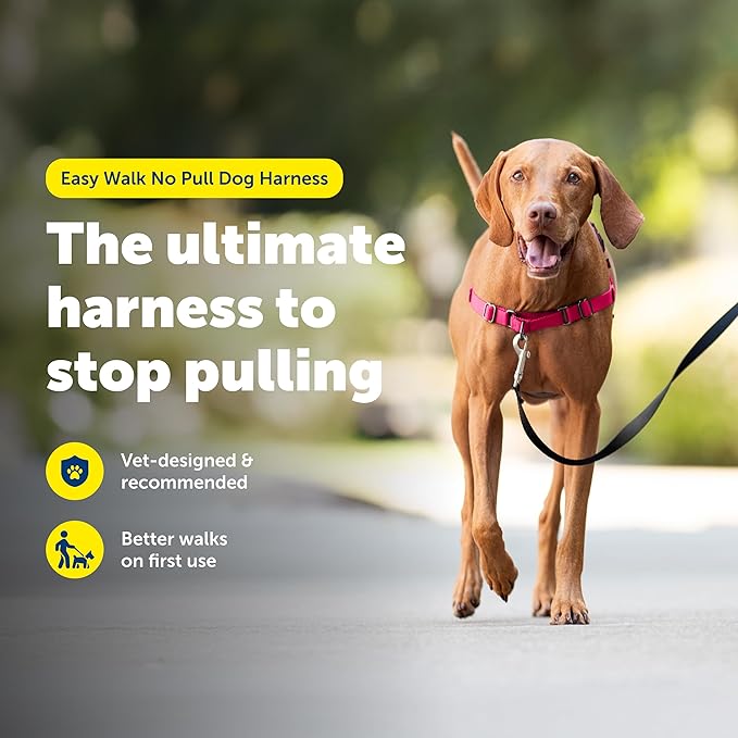 PetSafe Easy Walk Harness for Dogs - Pull-Free Walks - Patented Martingale Loop Design - Front Chest Leash Attachment - Comfort Straps - Breathable Harness Design - Medium, Red/Black | Patented Martingale Loop Gives Gradual Shoulder Pressure to Stop Pu... - Image 2
