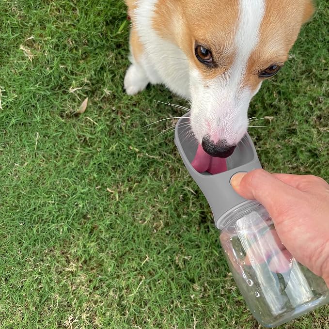 WePet Portable Dog Water Bottle, 12 OZ, Leak Proof Puppy Water Dispenser with Drinking Feeder for Pets Outdoor Walking, Hiking, Travel, Food Grade Plastic - Image 2