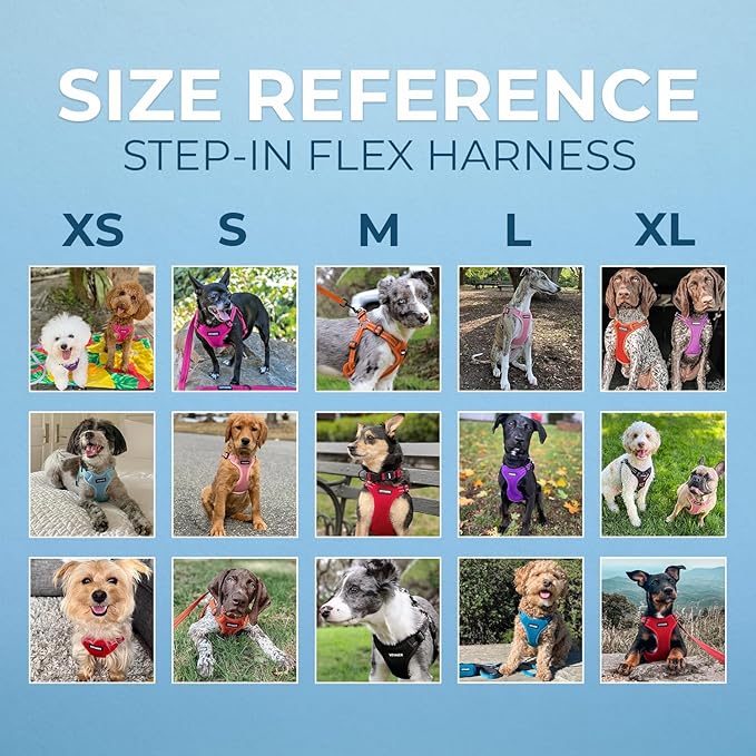 Voyager Step-in Flex Adjustable Dog Harness - Red, Medium | 17 - 21" in Chest, Fully Adjustable, Reflective Bands, All Weather Breathable Air Mesh, Lightweight, Fast Drying - Image 6