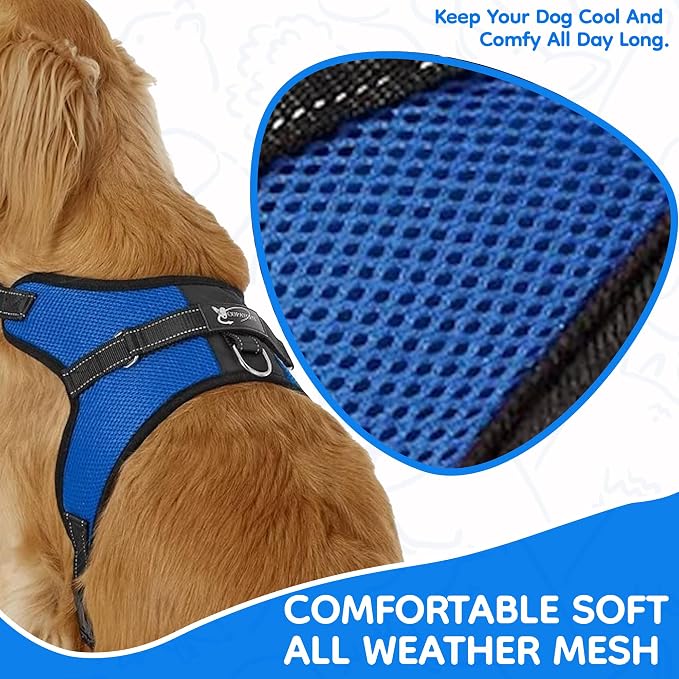 No Pull Reflective Adjustable Dog Harness With Handle- Comfortable Soft All Weather Mesh, Easy On Puppy Harness For Small Medium and Large Dogs (Blue) Medium - Image 3