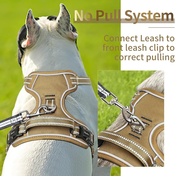 HEELE Dog Harness, Dog Harness for Small Medium Large Dogs No Pull Adjustable Padded Reflective Harness with Handle for Walking Training, Brown, S | Soft Breathable Padded Pet Vest, No Pull No Choke, Adjustable 2 Metal Rings for Outdoor Walking Training - Image 4