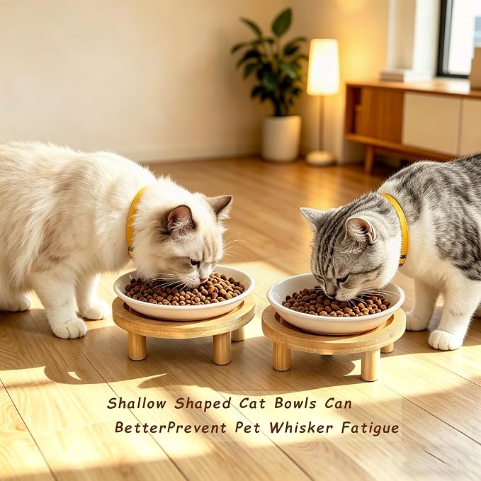 Shallow Elevated Cat Bowls, 2, White (Fish Bone), Bamboo Stand | 5.9 Inch Wide, Ceramic Dishes, Whisker Friendly, Raised Pet Food, Adjustable - Image 4