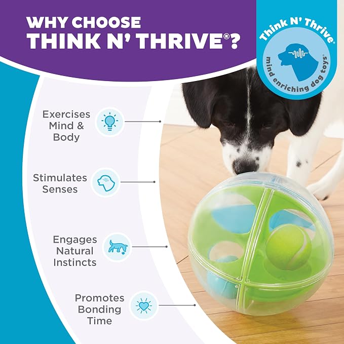 Outward Hound by Nina Ottosson A-Maze Ball Dog Treat Puzzle Ball, Level 2 Intermediate, Green - Image 6
