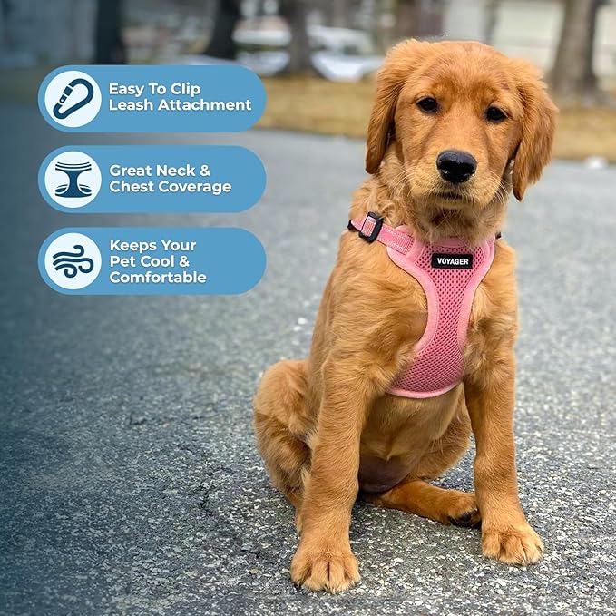 Voyager Step-in Flex Adjustable Dog Harness - Pink, X-Small | 13 - 16" in Chest, Fully Adjustable, Reflective Bands, All Weather Breathable Air Mesh, Lightweight, Fast Drying - Image 5