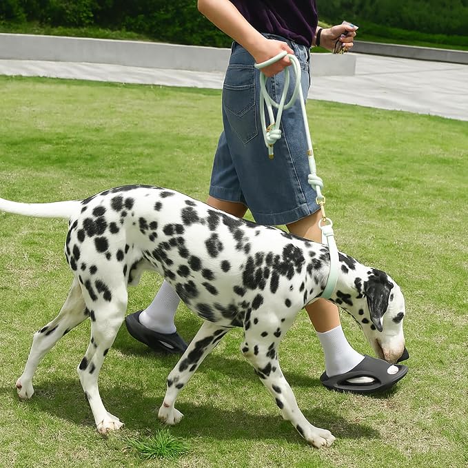 5FT Dog Leash Puppy Cat Rope Lead for Small Medium Large Dogs | Light Green, with Anti-tangle Swivel Clip, Comfortable Non-slip Grip Handle, Ideal for Daily Walks and Training - Image 8