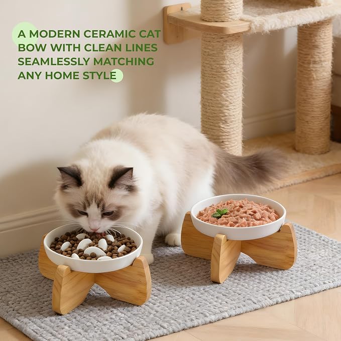 Raised Ceramic Cat Bowls 6.3" Flat & Slow Feeder Bowl (One of Each) | Anti-Gulping & Keep Fit, Water Bowl & Food Bowl, Dishwasher Safe, Neck Protective, Anti Whisker Fatigue - Image 7