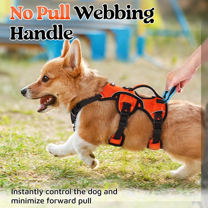 rabbitgoo Escape Proof Dog Harness for Small, No Pull with Lift Handle | No Escape, Full Soft Padded, Reflective Adjustable Vest, Leash Clip for Walking Hiking Training, Orange, Small - Image 4