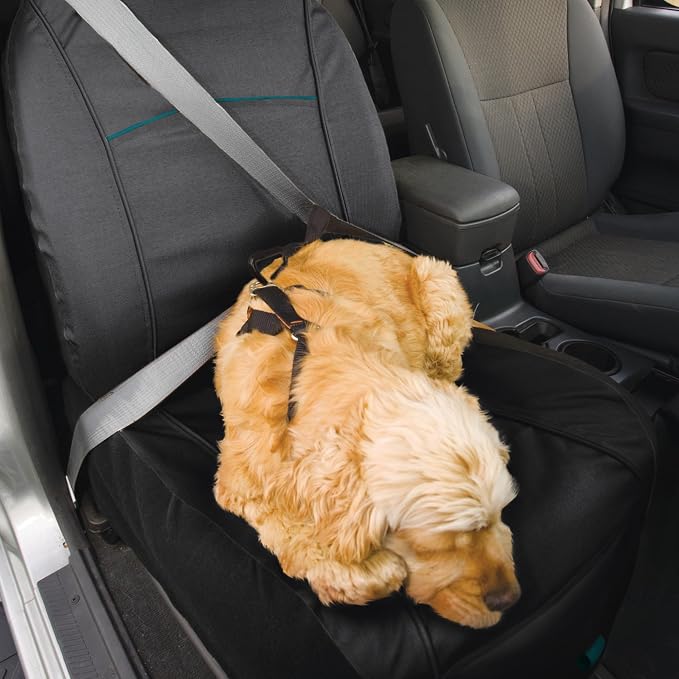 Kurgo Rover Bucket Seat Cover, Black | Protects Bucket Seats from Muddy Paws & Pet Hair, Waterproof, Stain Resistant, Large Storage Pocket, Secure Full Coverage Fit - Image 5