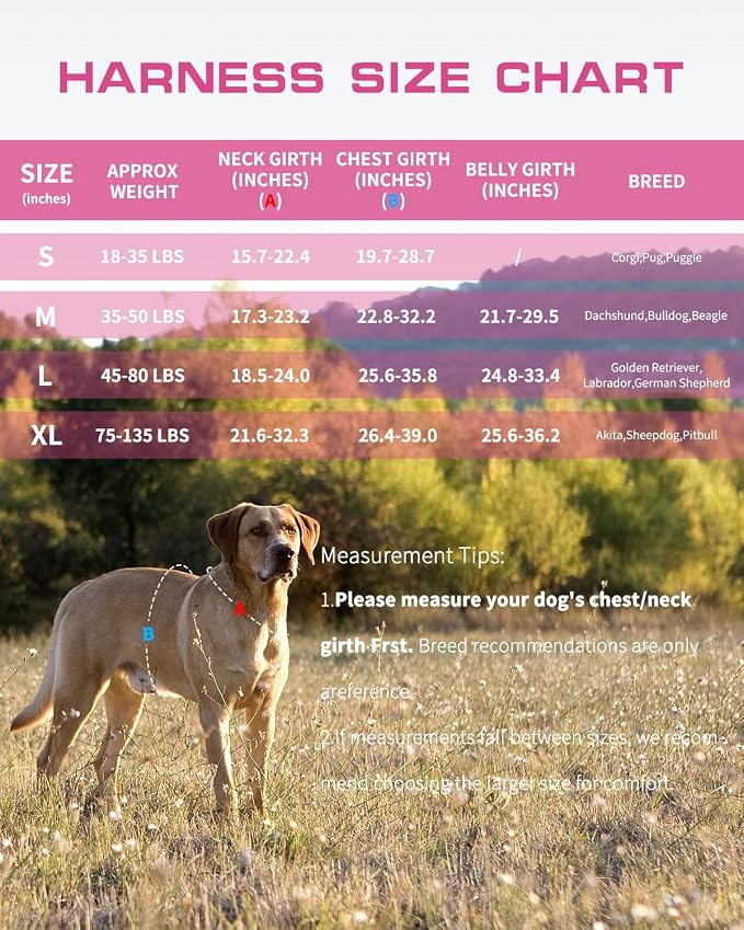 Dog Harness Medium Sized Dog, No Pull Dog Vest with Molle System | Tactical, Easy Control With Handle, Breathable Soft Padded, Adjustable, Reflective, No Choke for Walking, Pink Camo Medium - Image 7