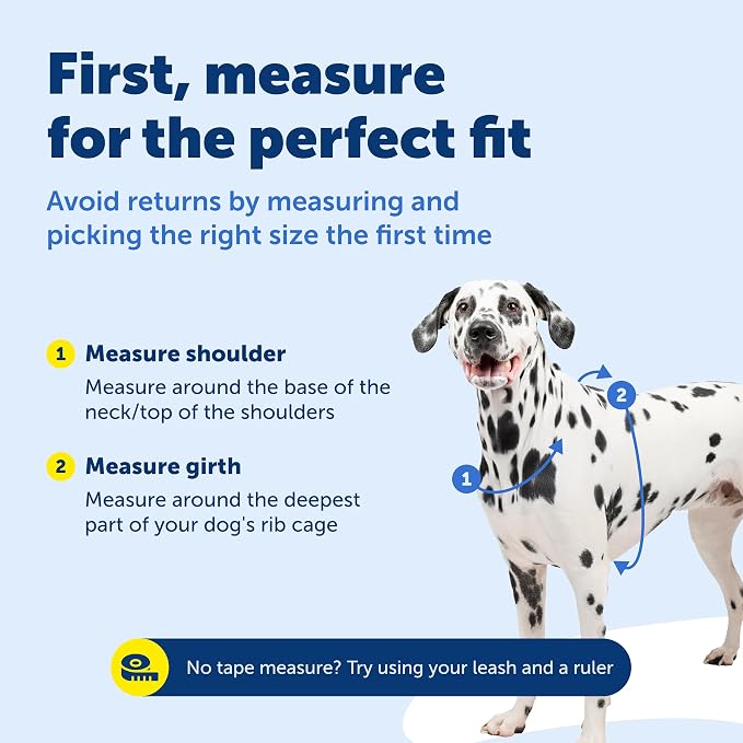 PetSafe 3 in 1 Dog Harness - No Pull Solution for Dogs - Reflective Dog Harness - Front D-Ring Clip Helps Stop Pulling - Comfortable Padded Straps - Top Handle Enhances Control - Plum - Small - Image 6