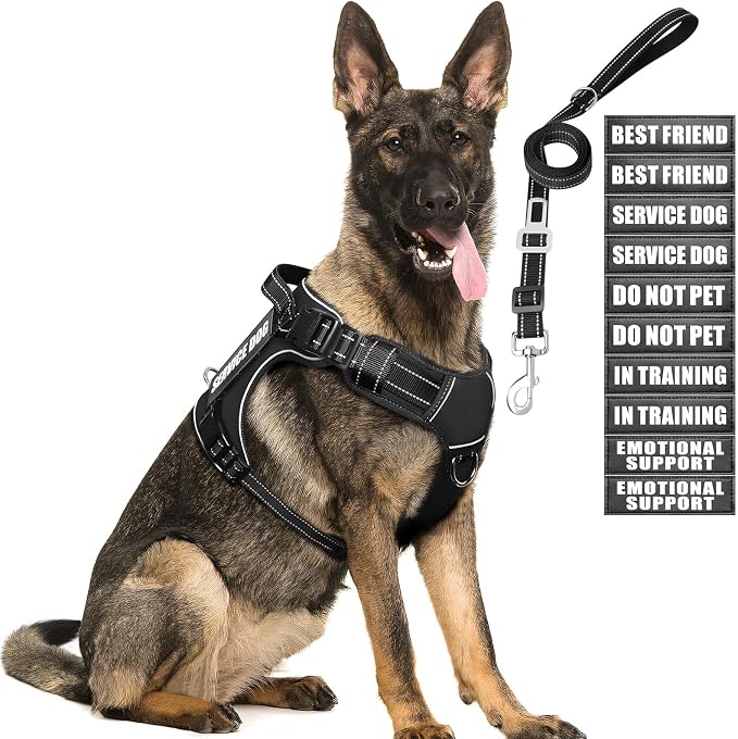 Tactical Dog Harness and Leash Set for Large Dogs+10 Dog Patches | Heavy Duty No Pull Service Dog Vest with Dog Seat Belt,Padded Handles,Adjustable Reflective for Training Hiking Black L by MOOGROUPETSFRIEND