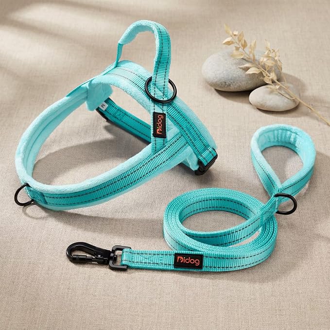 Didog 6FT Reflective Dog Leash for Medium Large Dogs, Slim 3/4" Width, Teal | Soft Padded Handle, Plush Comfort Grip, Tangle-Free, 360°Heavy-Duty Strengthened Clasp for Daily Walks/Training, Night Safety - Image 7