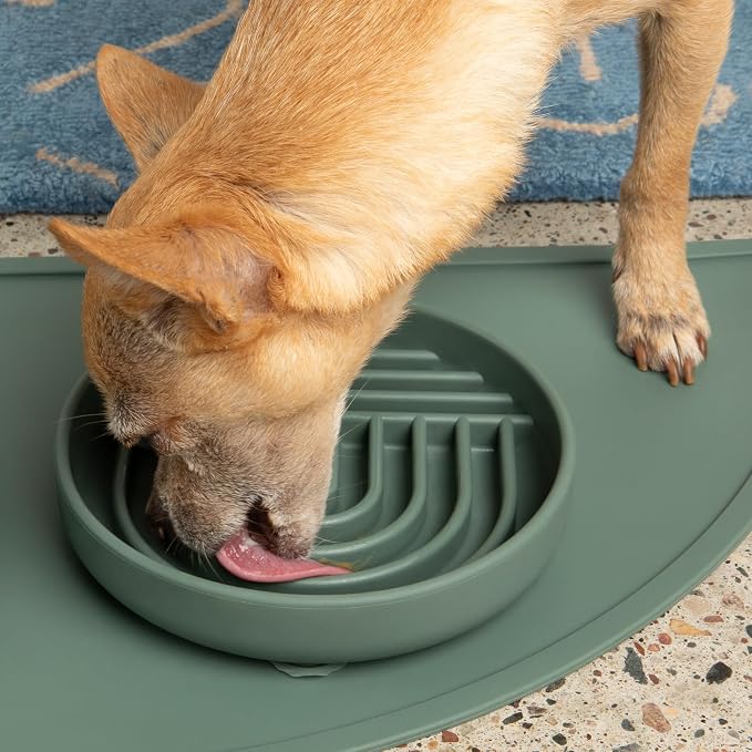 Should We Go? Slow Feeder Dog Bowls - Small Size Silicone Slow Eating Dog Bowl for Puppies & Dogs with Suction Cup -Dishwasher-Safe, Lick Mat Design, Reduces Gulping, for All Breeds, 6”x1.25”- Spruce - Image 6
