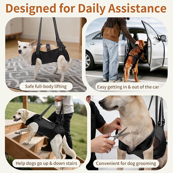 Full Body Dog Lift Harness, Support Senior & Disabled Dogs Walking | Help Up & Down Stairs Grooming, Dog Sling Backpack, Front Hind Leg Joint Injuries, Reflective, Soft Padded Handle | Black, S - Image 7