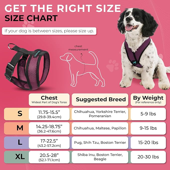 Gooby Comfort X Head-in Dog Harness, Choke-Free, Purple, Large | Patented choke-free X-frame; Secure head-in fit; Lightweight breathable mesh; Back metal D-ring; Machine washable - Image 5
