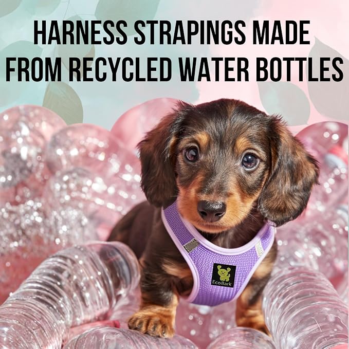 EcoBark Step in Dog Harness, Reflective & Adjustable Body Halter Vest, XL | Eco Friendly Dog Harnesses for Small & Medium Breed Dogs, Soft Mesh Toy Breed Harness, No Pull No Choke Vest, Lavender - Image 4
