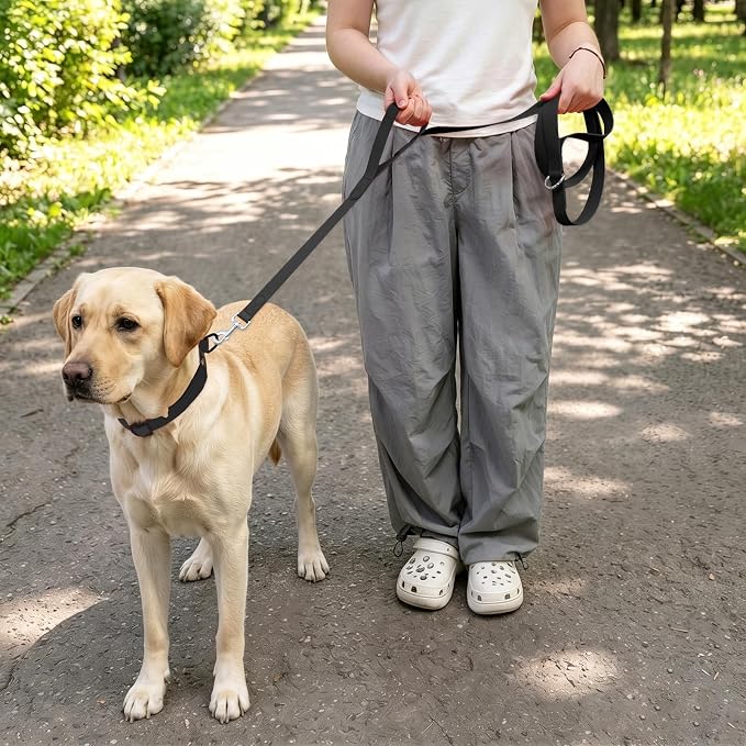 Waterproof Dog Leash with Double Handle, 6 FT Durable Odor-Proof Dog Leashes with Strong Aviation Aluminum Hooks Fits Small Medium or Large Dogs - Image 5