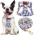 No Pull Dog Harness Adjustable Small Dog Harness and Leash Set, Lightweight and Soft Dog Harness No Choke Escape Proof Pet Harness Vest (Purple Daisy, S) by RosyLife