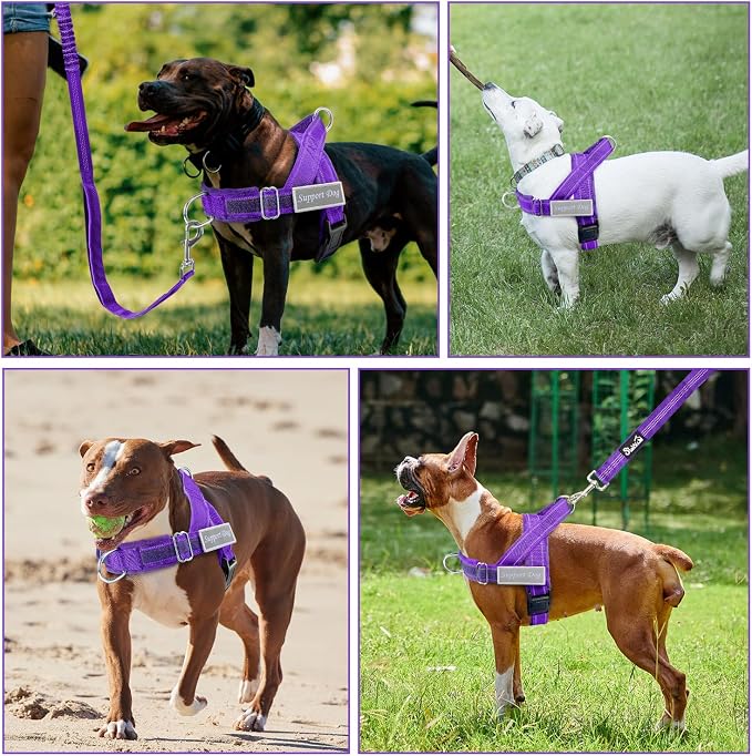 SlowTon No Pull Dog Harness with Front Clip - Heavy Duty, Soft Padded | Neck & Chest Adjustable, Tactical Pet Vest and Leash Set for Large Medium Sized Dogs, for Easy Walk & Training, Purple M - Image 8