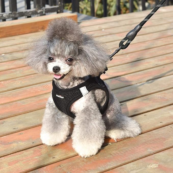 Dog Harness Step-in Breathable Puppy Cat Dog Vest Harnesses for Small Medium Dogs - Image 6