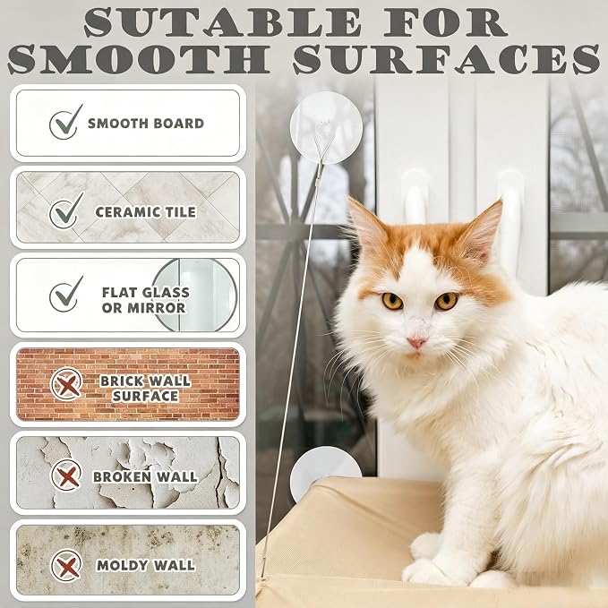 Cat Window Perch Suction Cup Replacement Accessories Clear Strong Suction Cup with Stainless Steel Screw Nuts, Set of 4 (Clear) - Image 5