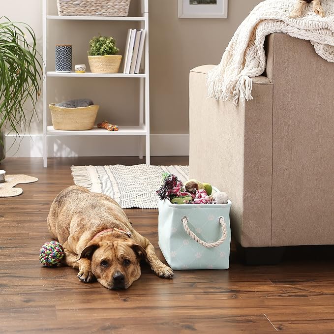 Bone Dry Pet Storage Paw and Bone, Trellis Collection, Small Rectangle, 14x8x9, Aqua - Image 5