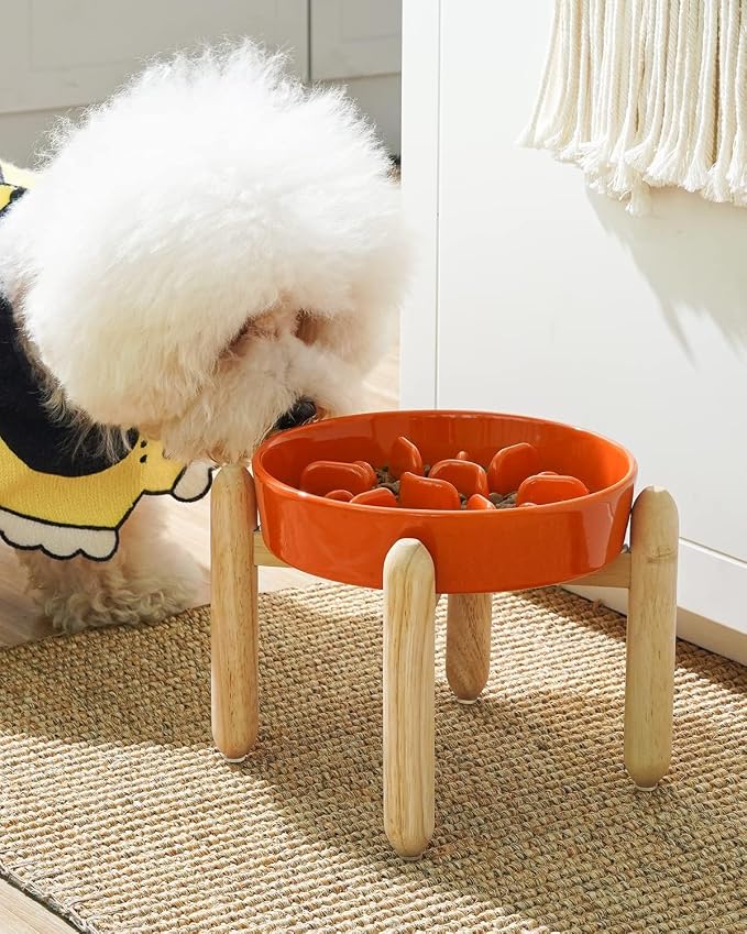 LE TAUCI Ceramic Slow Feed Dog Bowls, Elevated, Anti-Gulping, Non-Slip, 6 inch, Orange - Image 2