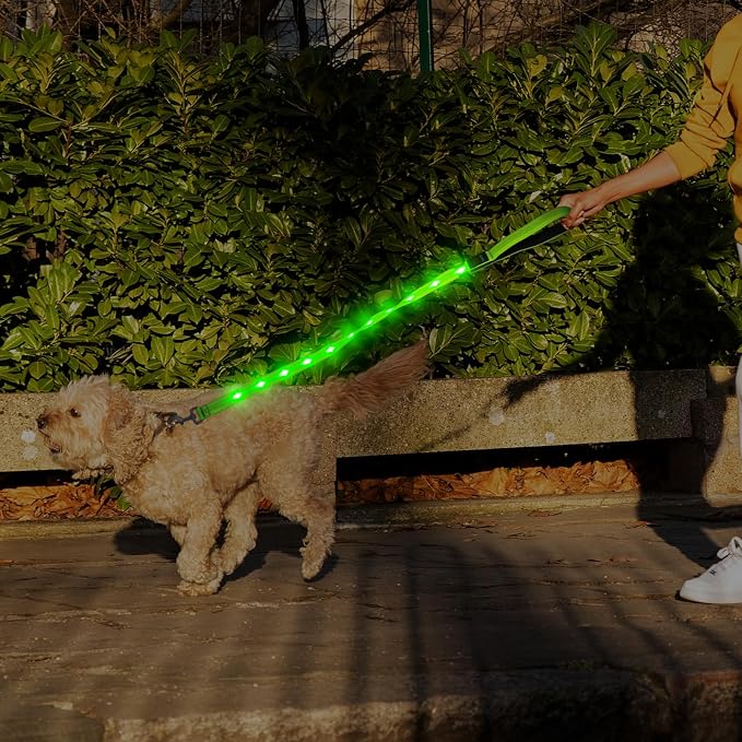Illumifun LED Dog Leash, USB Rechargeable Glowing Light Up Dog Leash, Nylon Flashing Safety Pet Light for Night Walking (GreenⅡ) - Image 6
