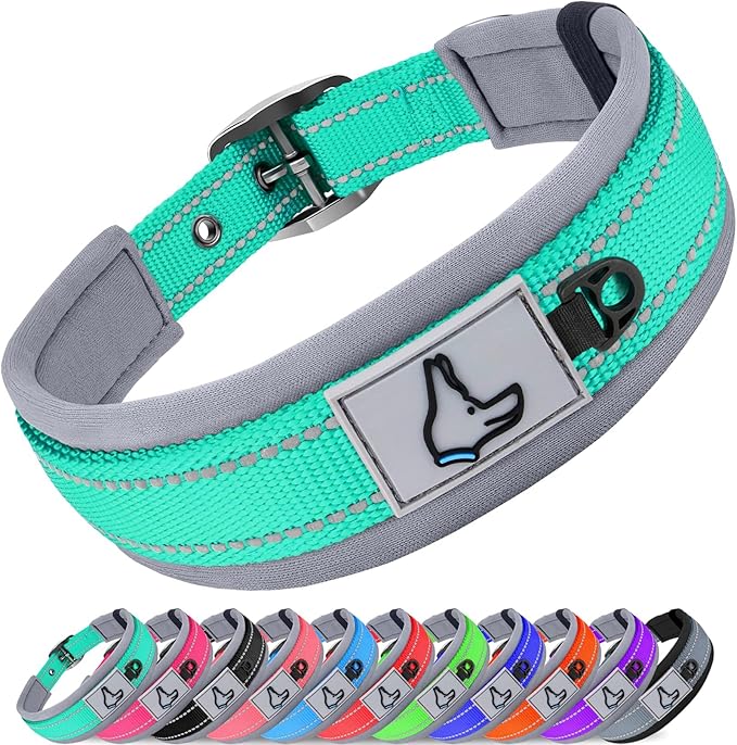 Joytale Reflective Dog Collar for Medium Dogs with Wide Padding, Teal | Soft Cushion Reduce Neck Strain, Night Safety Walking, Metal Buckle and Adjustable Eyelets, Separated Dog ID Tag Ring by Joytale