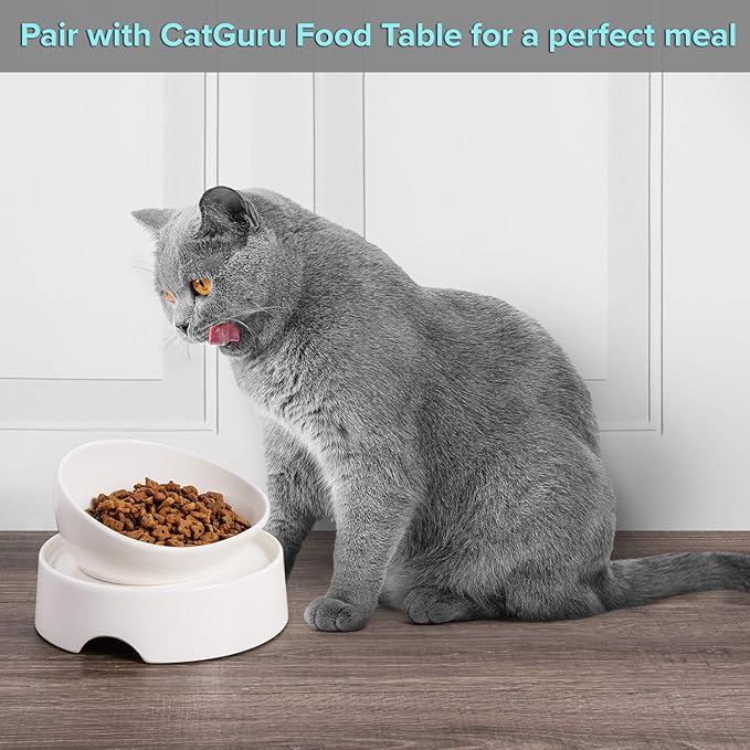 CatGuru Cat Food Bowl, Ceramic Bowls for Indoor Cats, No Spill Cat Feeding Bowl, Whisker Stress Free Kitten Bowls, Pet Bowls for Food and Water, Includes Silicone Non-Slip Mat (High-Low, White) - Image 5