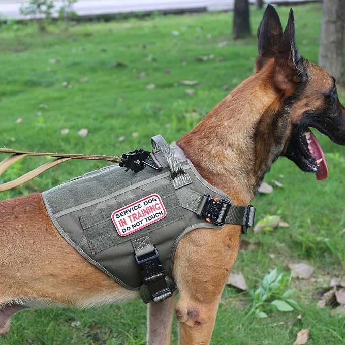 ICEFANG Tactical Dog Harness for Large Dogs,Reflective No Pull Dog Vest | with Control Handle,Adjustable,Front Hook,2 Leash Clips,Soft Padded,MOLLE Panel,Green,Large - Image 5