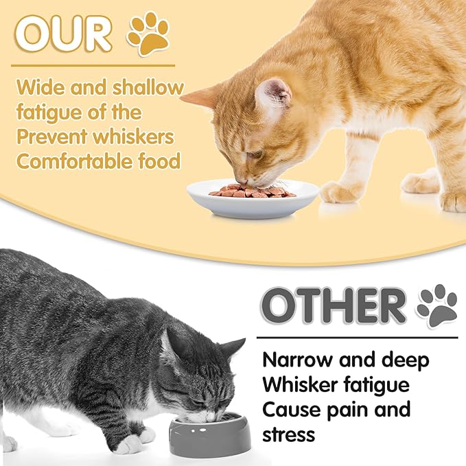 6 Pack Cat Food Bowl, Ceramic Cat Bowls, Anti Whisker Fatigue Cats Bowl Set | 5.5 Inches Shallow Wide Kitten Plates for Food and Water (White-C) - Image 3