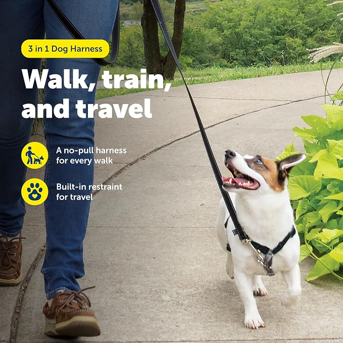 PetSafe 3 in 1 No-Pull Dog Harness - Walk, Train or Travel - Helps Prevent Pets from Pulling on Walks - Seatbelt Loop Doubles as Quick Access Handle - Reflective Accents - Small, Black | Rests on Chest Not Throat to Reduce Pulling, 5 Adjustment Points,... - Image 2