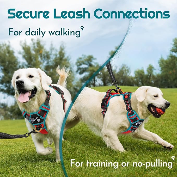 Eagloo Dog Harness No Pull for Large Dogs, Easy On & Off with 3 Buckles | No Choke with Front Clip, Adjustable Fit, MOLLE System, Reflective Vest, Easy Control for Walking, Red & Teal, Large - Image 5
