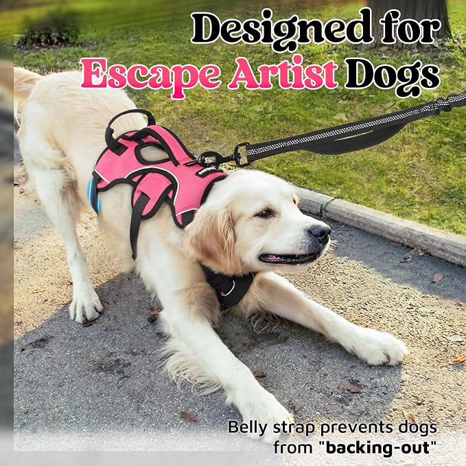 rabbitgoo Escape Proof Dog Harness for Medium, No Pull with Lift Handle | No Escape, Full Soft Padded, Reflective Adjustable Vest, Leash Clip for Walking Hiking Training, Peach Pink, Medium - Image 2