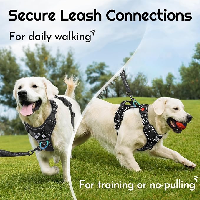 Eagloo Dog Harness No Pull for Large Dogs, Easy On & Off with 3 Buckles | No Choke with Front Clip, Adjustable Fit, MOLLE System, Reflective Vest, Easy Control for Walking, Black, Large - Image 4