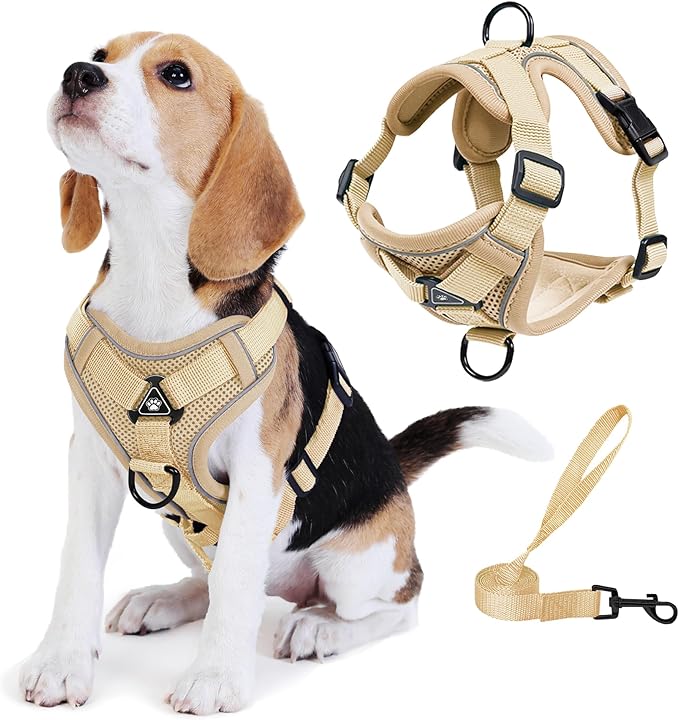Dog Harness Small Sized Dog Pet Vest with Leash Set Camel M | Adjustable Puppy Vest Harness, No Choke No Pull, Soft Padded, Step-in Dog Vest, Reflective Cat Harness, Breathable Air Mesh by Unknown